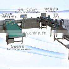 Full Automatic Egg Cleaning and Sorting Packing Line Production Line Processing Line thumbnail-4
