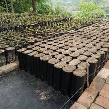 PE Black Plastic Nursery Bags Plant Grow Bag Seedling Pots Sapling Cultivation Bag With Holes For Garden thumbnail-5