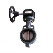 Factory Direct DIN Handle Type Wafer Butterfly Valve WCB/Ductile Iron Body PTFE Soft Sealed SS304 Disc Manual Clamp Connection thumbnail-2