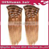 Promotion Wholesale Price Silky Straight 6A Clip in Human Hair Extensions 300g