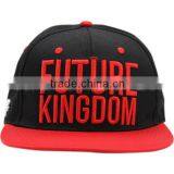 Flat Brim 3d Logo Custom Snapback Caps thumbnail-2