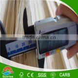 China Poplar LVL Plywood and Board,laminated Wood Sheets,hardwood and White Wood Laminated Lumber thumbnail-4