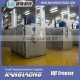High Quality Upright Freezer Industrial With Great Price