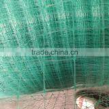 Plastic Square Netting for Slope Protection in Landscape Engineering thumbnail-3