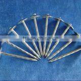 Galvanized Umbrella Head Roofing Nails With Smooth/Twist Shank by Low Price Quality Choice Most Popular thumbnail-1