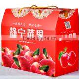 ARTS OF APPLES(1) thumbnail-4