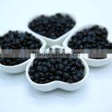 Black Kidney Beans Black Kidney Beans thumbnail-6