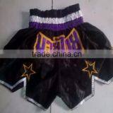 Thai Shorts Kick Boxing Satin Kick Boxing Shorts thumbnail-4