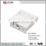 LY-FP51 Face Plate 2 Port,French Type 45*45mm White Blank Faceplate Face Plate