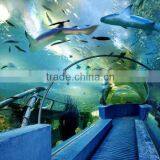 Decorative Acrylic Wall Panels thumbnail-4