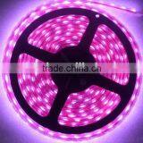 10M Cheap Price 5630 / 5050 Led Strip Rgb Low Voltage 12V Non Waterproof Led Flexible Strip Light Christmas Lights