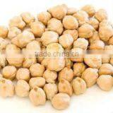 Protein Chickpeas Wholesaler thumbnail-1