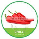 HIGH QUALITY FRESH DOWNWARD RED CHILLI thumbnail-1
