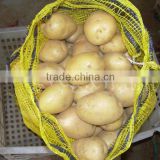 fresh holland potato(mesh bag)