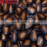 Big Size Water Melon Seeds thumbnail-2