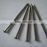 Common Nail/concrete Nail/wire Nail