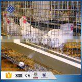 30 Years' Factory Supply Automatic Cages for Chickens thumbnail-3