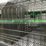 Cage For Sale (Female and Baby Rabbits/Commercial Rabbits)Rabbit Farming Cage, Industrial Cage for Rabbit ,Commercial Rabbit Cag thumbnail-3