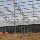 Sawtooth Type Commercial Greenhouse Industrial Greenhouse for Sale thumbnail-1