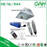 Agriculture Grow Lighting Hydroponic System for Sale thumbnail-5