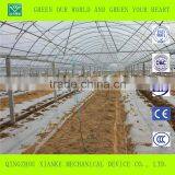 Multi-Span Commercial Polycarbonate Greenhouse for Sale thumbnail-2