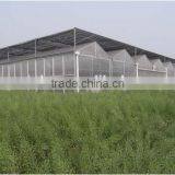 Good Performance Low Cost Steel Frame Agricultural Greenhouse thumbnail-1