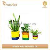 Mini Reusable Fabric Grow Bag Canvas Plant Bags thumbnail-3