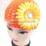 Gerbera Daisy Flower thumbnail-1