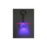 Real Bug, Insect LED Flashlight Key Ring, Keychains, So Cool Gift, Promotion Gift thumbnail-1