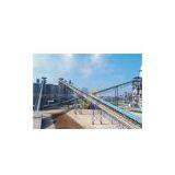 Conveyor Belt System/Belt Conveyor/Conveyor Belts