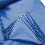 Advanced and Portable Pvc Tarpaulin Vietnam Sunresistant thumbnail-1