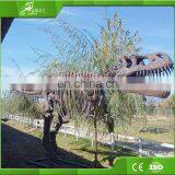 KAWAH Museum Display Resin Dinosaur Skeleton Life-Size Real Fiberglass Dino Skull For Sale thumbnail-3