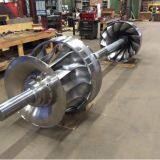 Double Francis Turbine thumbnail-1