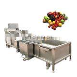 factory price good quality high pressure commercial industry automatic vegetable washer fruit washing machine with ozone