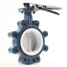 Lug Type PTFE Lined Wafer Manual Butterfly Valve thumbnail-2