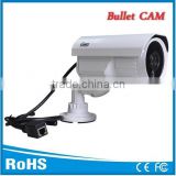Outdoor HD Wireless Wifi Network IP Camera with Night vision/Mega Pixel