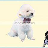 Pet Accessories Cheap Wholesale thumbnail-2
