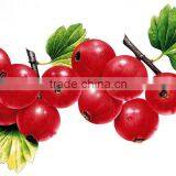 Pvc Static Sticker thumbnail-1