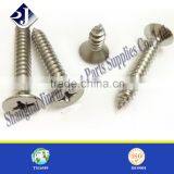Phillip Countersunk Head Self Tapping Screw