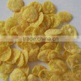 Factory Supplier Corn Flakes Extruder thumbnail-5