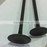 R180 Valve for Tractor Engine