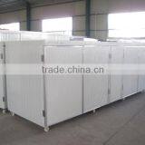 2013 Hot Selling Bean Sprout Machine