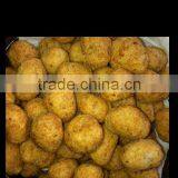 Nut Coating Machine