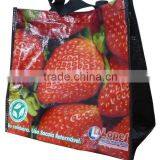 pp Woven Shopping Zipper Bags With Fruit thumbnail-5