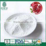 High Contain Ellagic and Punicic Acid Professinal Pomegranate Seed Oil Powder thumbnail-1