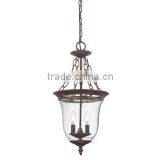 Bronze Lighting 2 Light Pendant With Glass Shade thumbnail-1