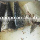 Fresh Fish Canned Jack Mackerel in Brine With Best Quality