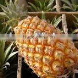 Fresh Pineapple With Sweet Taste thumbnail-1