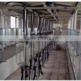 center-channelled milking machine hall