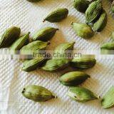 Cardamom thumbnail-2